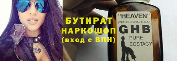 сатива Ельня