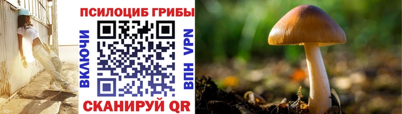 магазин продажи наркотиков  Минусинск  Галлюциногенные грибы мицелий 