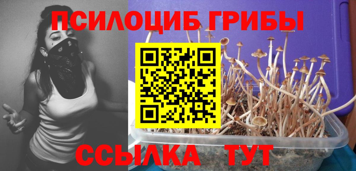 Минусинск  Псилоцибиновые грибы ЛСД  Вход с VPN 