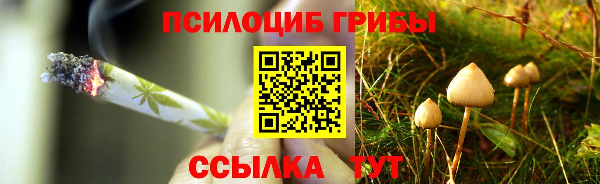 МЕТАДОН Минусинск